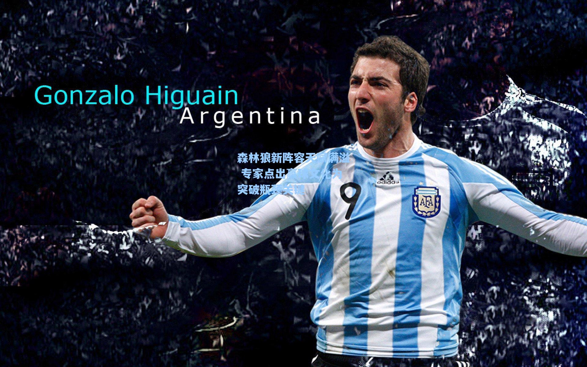 森林狼新阵容天赋满溢 专家点出赢球文化为突破瓶颈关键